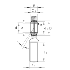 杆端轴承 GAR40-DO-2RS, 根据 DIN ISO 12 240-4 标准，带右旋外螺纹，需维护，两侧唇密封