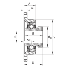 轴承座单元 LCJT20-N, 带两个螺栓孔的法兰的轴承座单元，铸铁， 偏心锁圈， L型密封，适合温度从 -40°C 到 +180°C