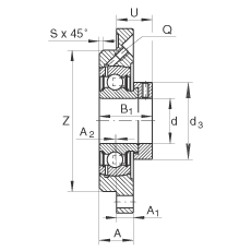 轴承座单元 PME55, 带四个螺栓孔的法兰的轴承座单元，定心凸出物，铸铁，偏心锁圈，P型密封