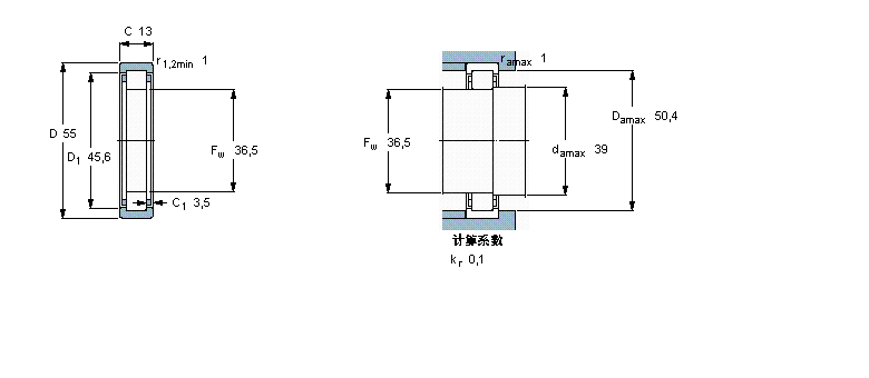 RNU1006样本图片