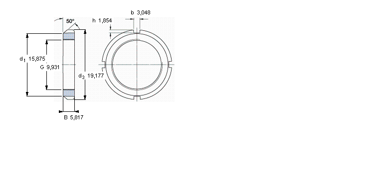 N00样本图片