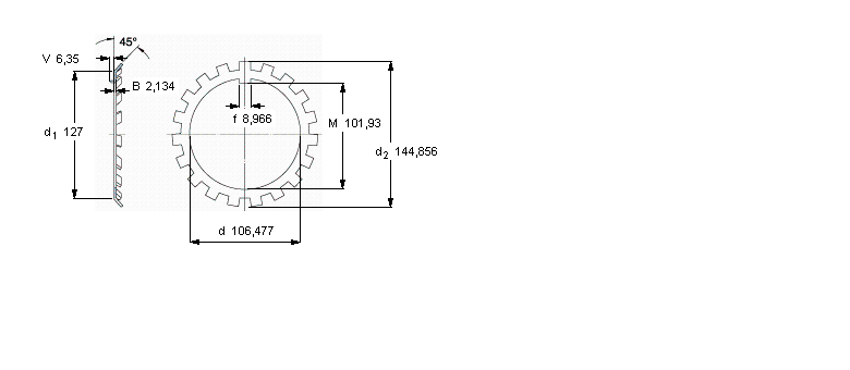 W21样本图片