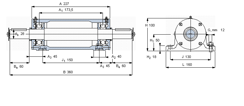 PDNB207样本图片