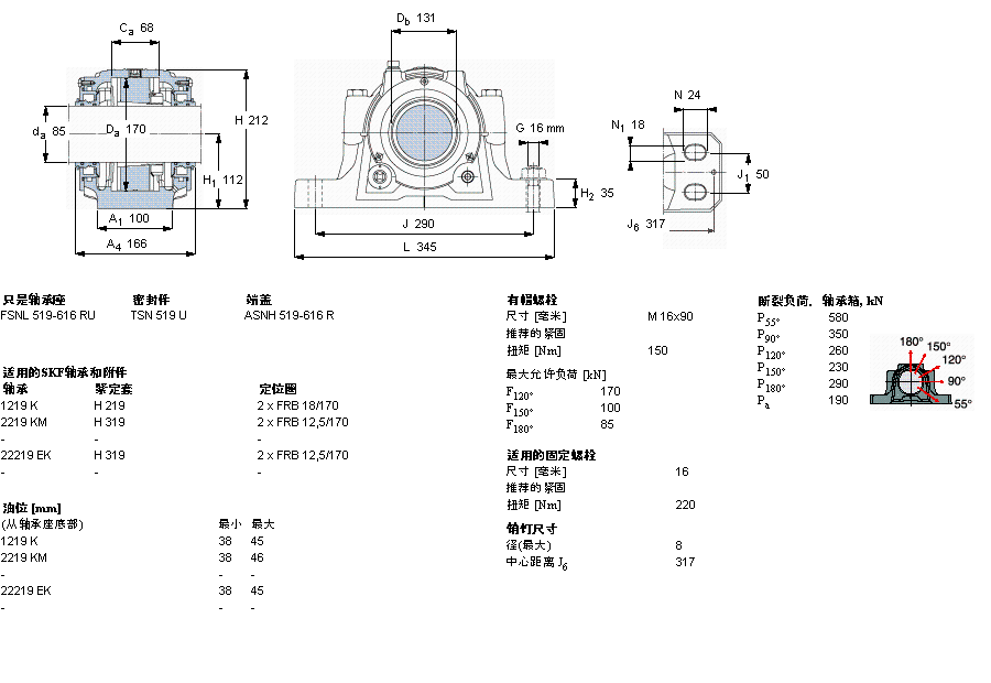 FSNL519TURU样本图片